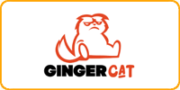 Ginger Cat
