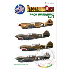1/48 P-40K Warhawks Part 1 Decals