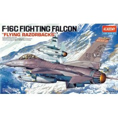 1/48 Fighting Falcon F-16C Block 25/32 