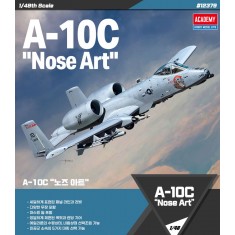 1/48 A-10C Thunderbolt II Nose Art
