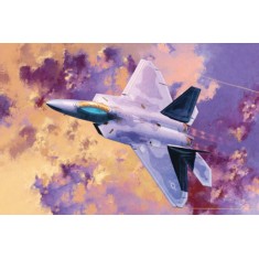1/72 Boeing F-22A Raptor