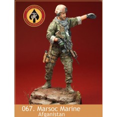 1/16 Marsoc Marine (1 Figure)