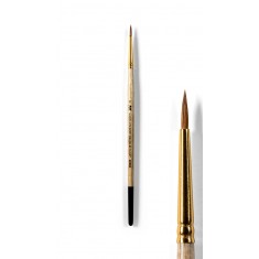 Marta Kolinskybrush #2 Short