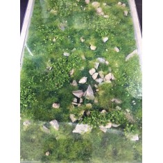 Realistic Ground Mat - Stony Mountain Spring (Dimensions: 230 x 130 mm)