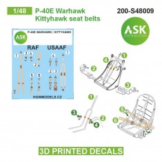 1/48 P-40E Warhawk / Kittyhawk Seat Beltsed 3D-printed Decals