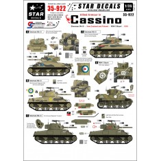 Decals for 1/35 Allied Armour in Cassino: New Zealand(Mk.III)/ Poland(Mk.III)/ USA(M5A1)