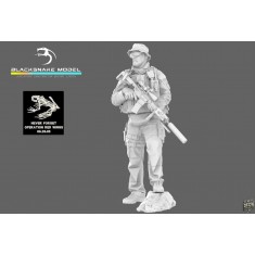 1/16 Modern US Navy SEAL Matthew Axelson, Operation Red Wings Figure