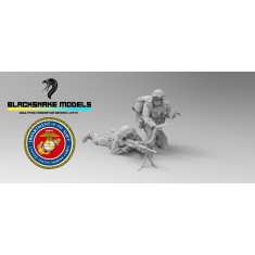 1/16 Modern US Marines Machine Gun Team, Iraqi Freedom Set (2 Figures)