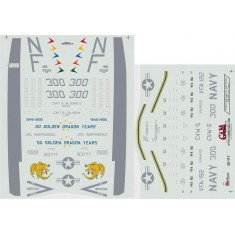 Decals for 1/32 F/A-18C Hornet VFA-192 USS Independence, CV-62, CVW-5 Golden Dragons 1995 
