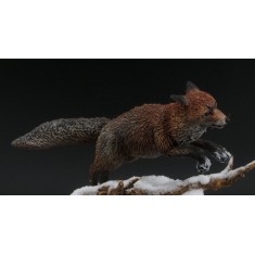 1/16 Volpe-Fox (120mm Scale)