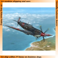 1/48 French Supermarine Seafire Mk.III "Aeronavale & Irish Air Corps"