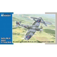 1/48 Spitfire Mk.XII against V-1 Flying Bomb (2 kits w/1 stand)
