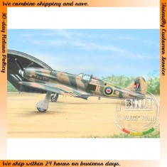 1/72 WWII Italian Fiat G.55 Centauro "Captured Fiats"