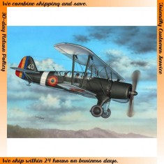 1/72 IAR-37 ''Rumanian Light Bomber'' 