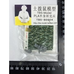 1/35 PLA Tank Crew Bust