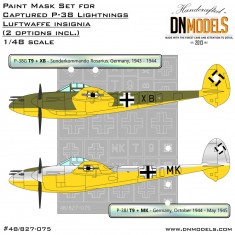 1/48 Captured P-38 Lightning Luftwaffe Insignia Paint Mask Set