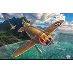 1/48 What If - Granville P-45B "Bee Killer"