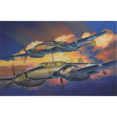 1/32 Messerschmitt Bf-110D/E Night Fighter - Wing Tech Series