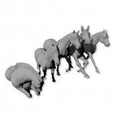 1/72 Assorted Horses (5pcs)