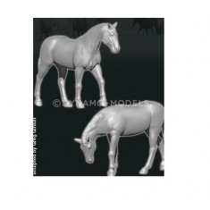 1/72 Animal Serie - Horses