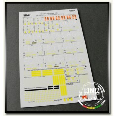 Decals for 1/35 Swedish Strv 122s of "Skaraborgs Regemente"
