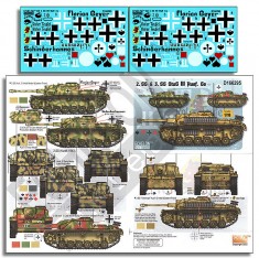 Decals for 1/16 2. SS & 3. SS StuG III Ausf. Gs