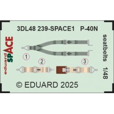 1/48 Curtiss P-40N Seatbelts 3D Decal for Eduard kits