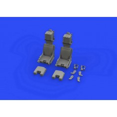 1/48 Grumman F-14D Tomcat Ejection Seats Set for AMK kits