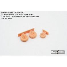 1/48 IAI Kfir Wheels for Kinetic/AMK Kits