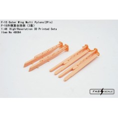 1/48 F-15 Eagle Outer Wing Multi-Pylons (2pcs)