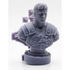 1/10 Gladiator Bust