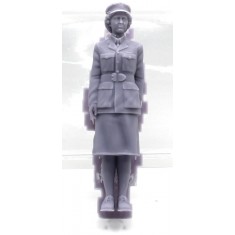 1/16 Royal Ambulance Driver