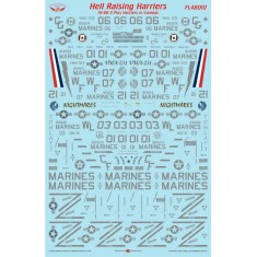 1/48 AV-8B II Plus Hell Raising Harriers Waterslide Decals