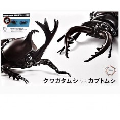 Stag Beetle VS Beetle