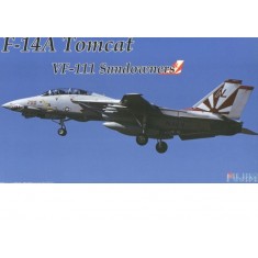 1/72 (F1) Grumman F14-A Tomcat Sundowners