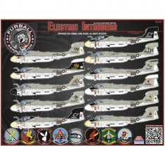 Decals for 1/48 Electric Intruders EA-6A in USN & USMC Service