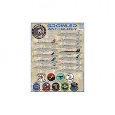 1/48 Boeing EA-18G Growler Anthology Decals for Hasegawa kit