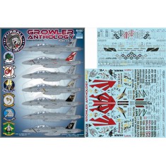 Decals for 1/48 Boeing EA-18G Growler Anthology PART IV