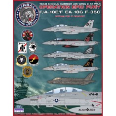 1/48 Team Shogun CVW-9 at War Decals