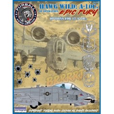 1/48 Epic Fury A-10C Thunderbolt II Decals