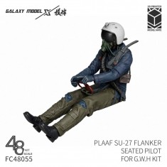 1/48 PLAAF Su-27 Flanker Seated Pilot for G.W.H Kit (3D Printed)