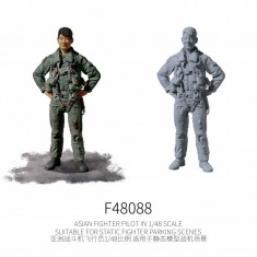 1/48 Asian Fighter Pilot #1