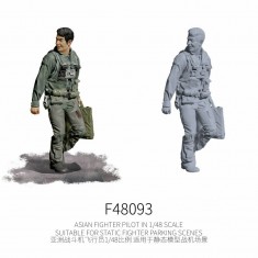 1/48 Asian Fighter Pilot #6