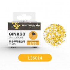 1/35 Ginkgo Dry Leaves