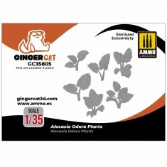 1/35 Alocasia Odora Plants (6pcs)