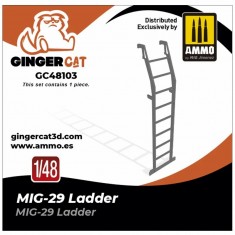 1/48 MiG-29 Fulcrum Ladder for Great Wall Hobby/Academy/Hobbyboss
