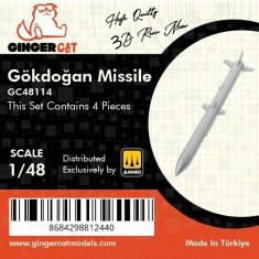 1/48 Gokdogan Air-to-Air Missiles (4pcs)