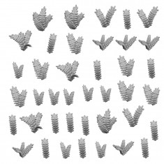 1/48-1/35 Resin Fern Leaves for Dioramas (3D Printed)