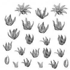 1/48-1/35 Resin Aloe Vera for Dioramas (3D Printed)