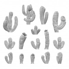 1/48-1/35 Resin Saguaro Cactus for Dioramas (3D Printed)